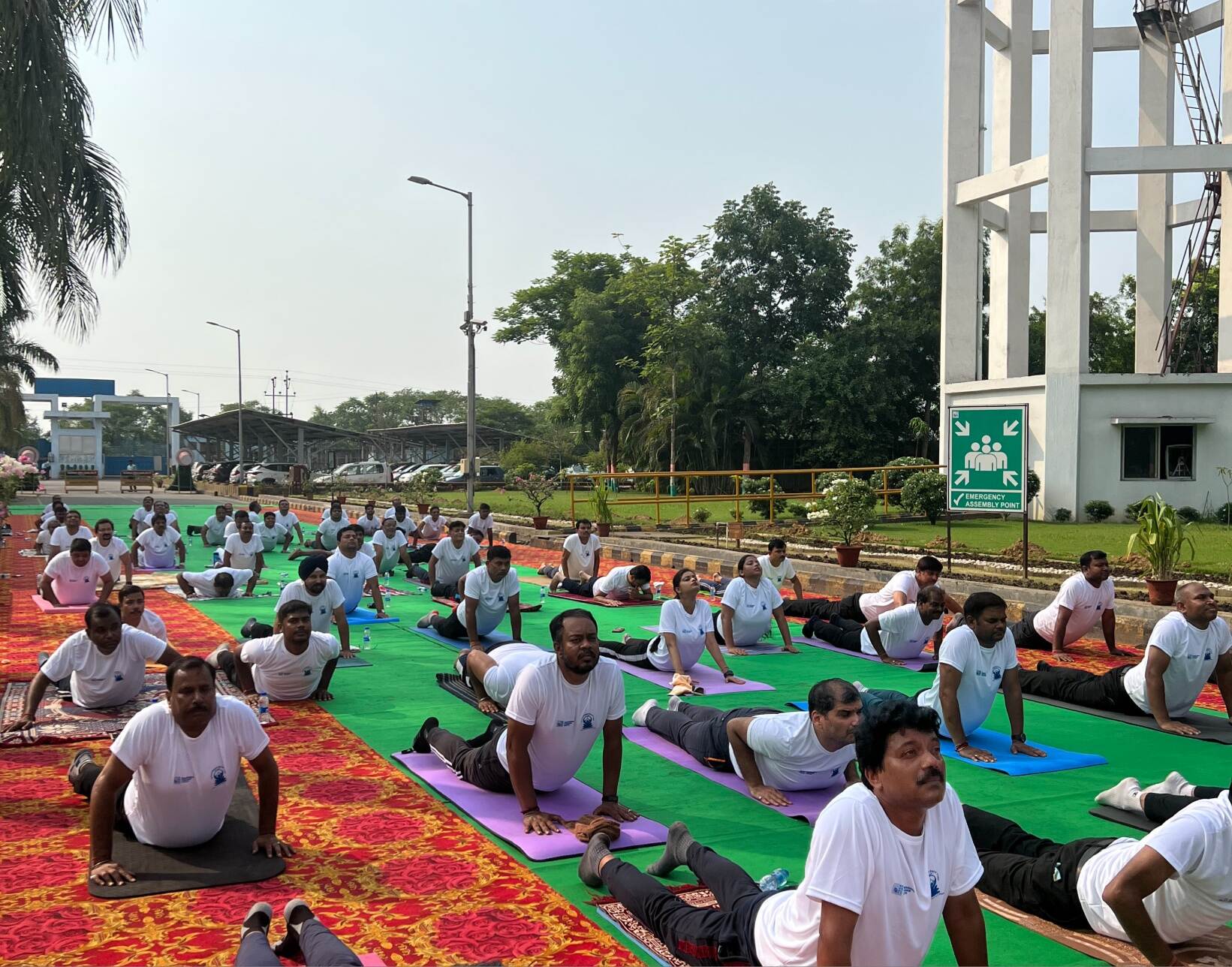 mixcollage 14 nov 2025 03 55 pm